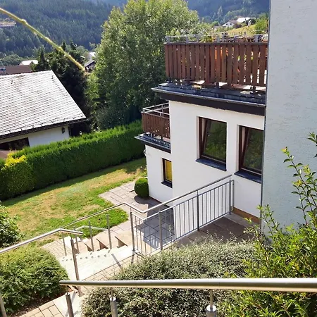 Apartamento Komfort-fewo Blickfang Willingen*** *