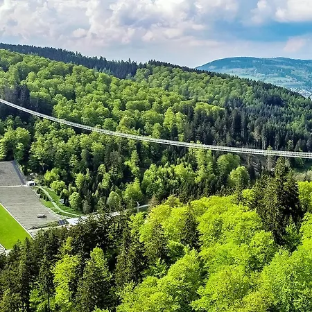 Komfort-fewo Blickfang Willingen***
